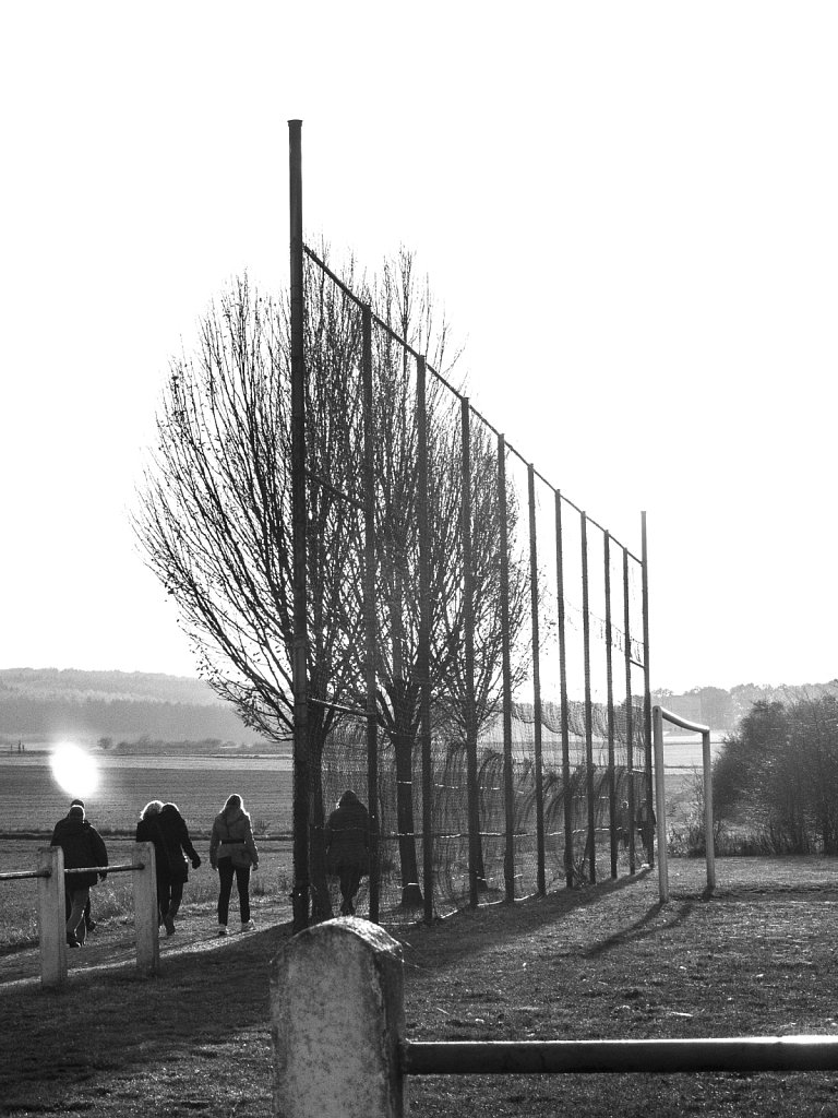 the walk