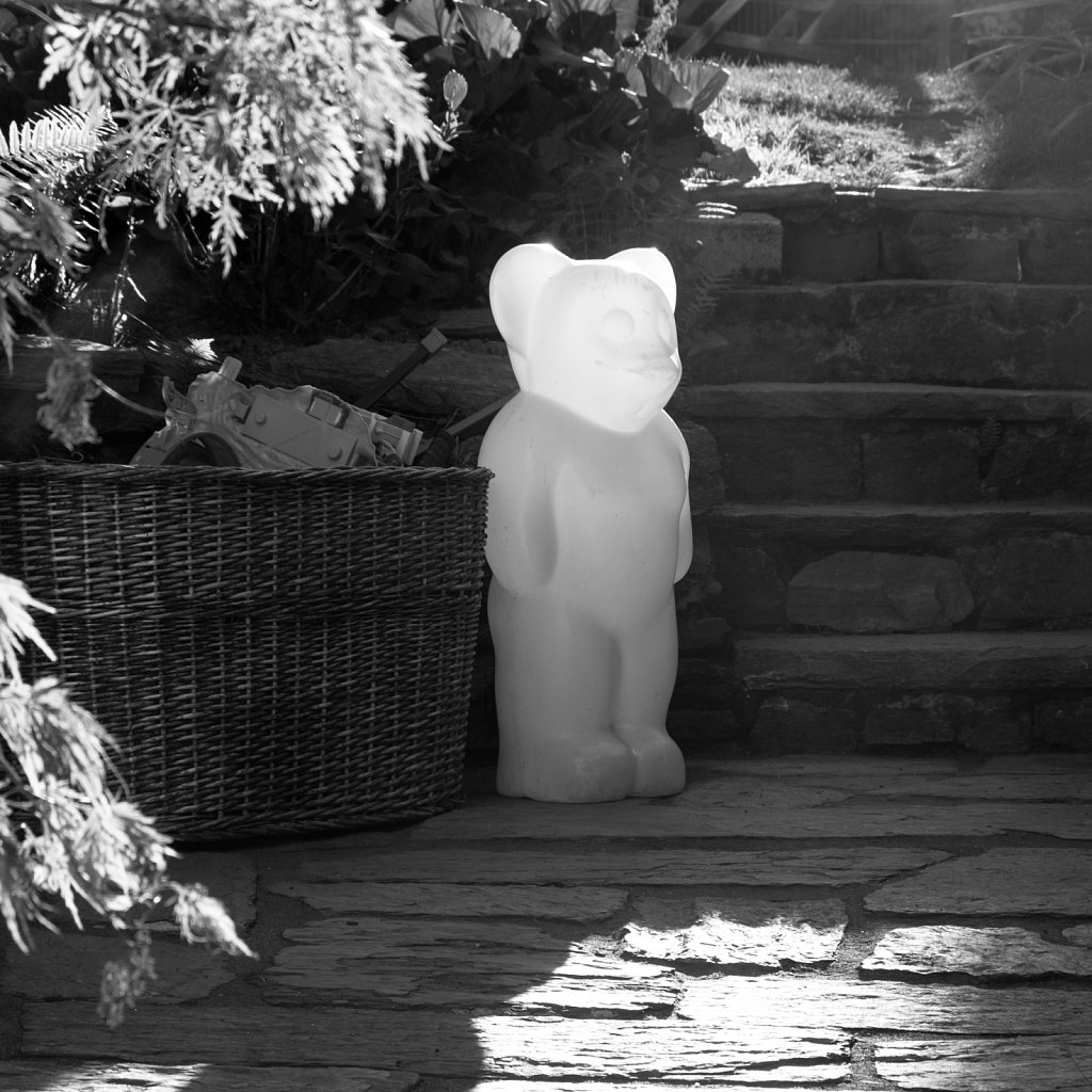 Lumibär
