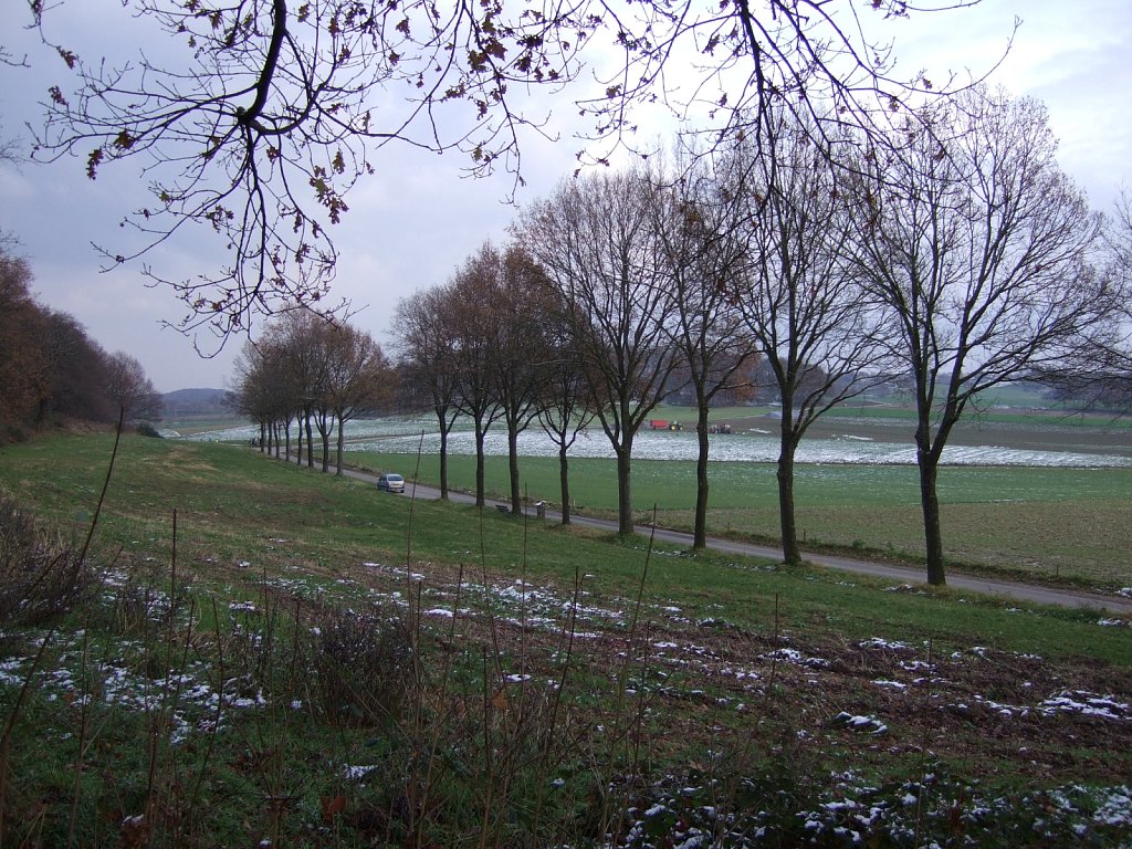 DSCF0001.jpg